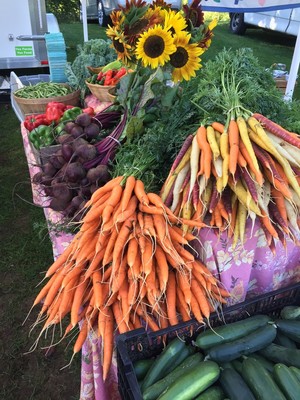 Abenaki Springs Farm