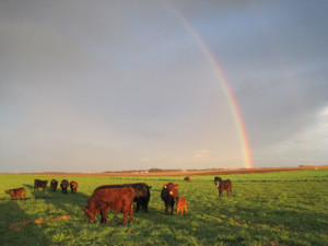 Trail's End Organic Farm