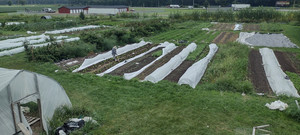 Full Circle Farm