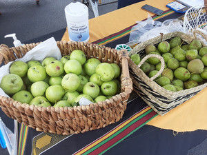 Park Forest Main Street Market