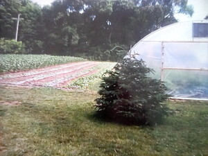 JandW Farm