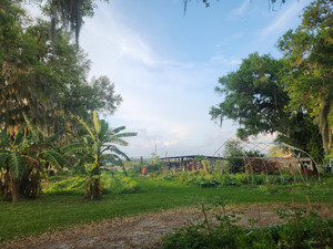 Peach Pit Farms