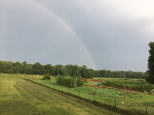 Bluegrass Bounty Farm