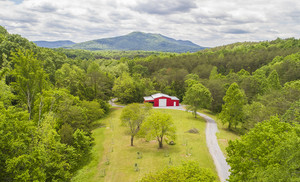 Cash Mountain Acres