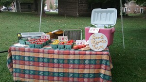 Good Thyme Farm