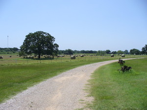 Family Farms Naturally