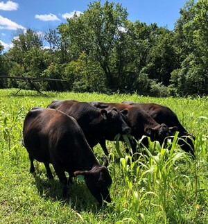Greenacres Farm Market