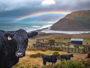 Lost Coast Ranch