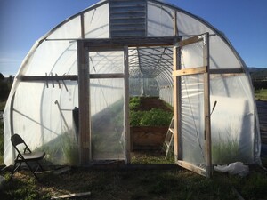 Diamond Sow Garden