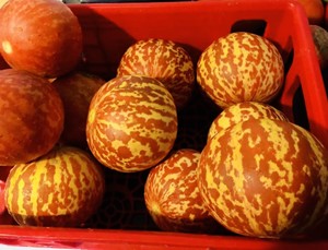 Nuts and Clucks farms
