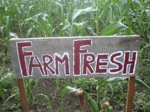 Ellison Bay Farm Fresh
