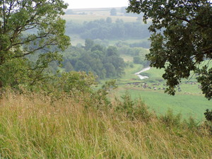 Marr's Valley View Farms, L.L.C.