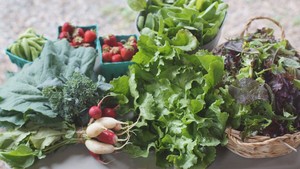 Doctor's Farm Market