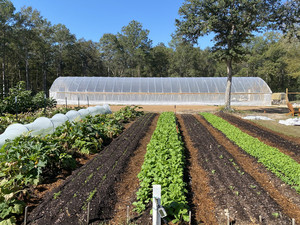 Homegrown In Folsom