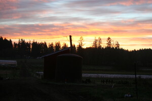 Stoneboat Farm