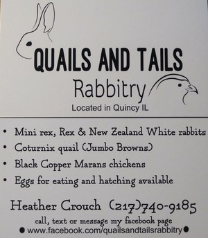 Quails and Tails Rabbitry