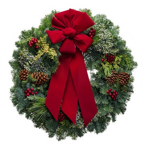 Christmas Forest
