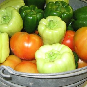 Heirloom Farmers Market