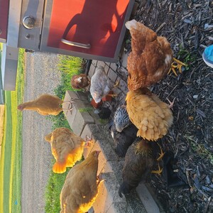 Sunny View Acres