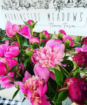 Morningside Meadows Flower Farm