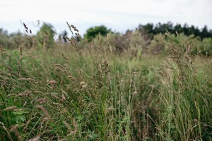 Two Sparrows Farm LLC