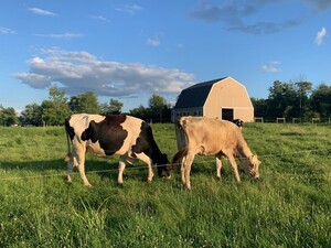 Fresh Start Farm Raw Milk
