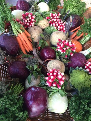Sunbird Farm