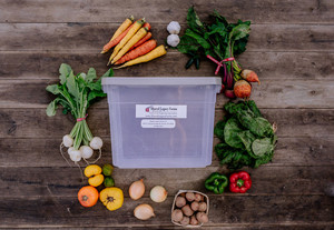 Shared Legacy Farms