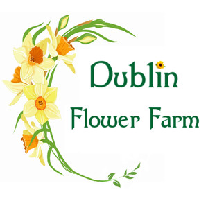 Dublin Flower Farm