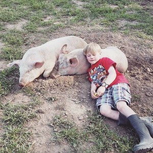 Idahog Family Farm