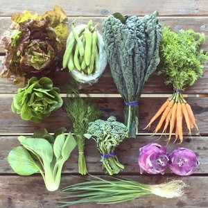 Lowlands Farm