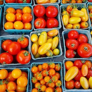 Rural Roots Farm