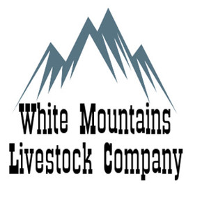 White Mountain Livestock Company