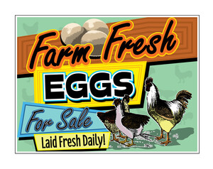 Eggs by Greg