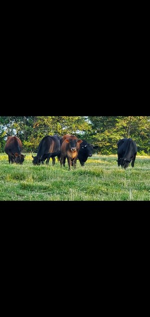 Keaton Farms