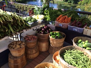 C. Spiczka Farm