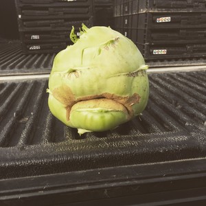 Post Apples CSA