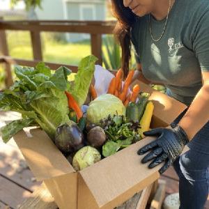 Yahweh's All Natural Farm and Garden
