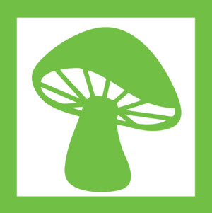 Green Box Mushrooms