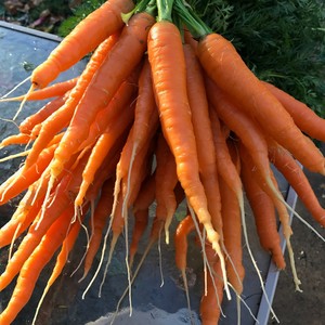 KIC Produce
