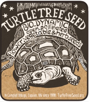 Turtle Tree Seed