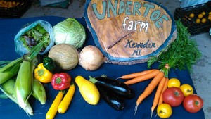 Undertoe Farm