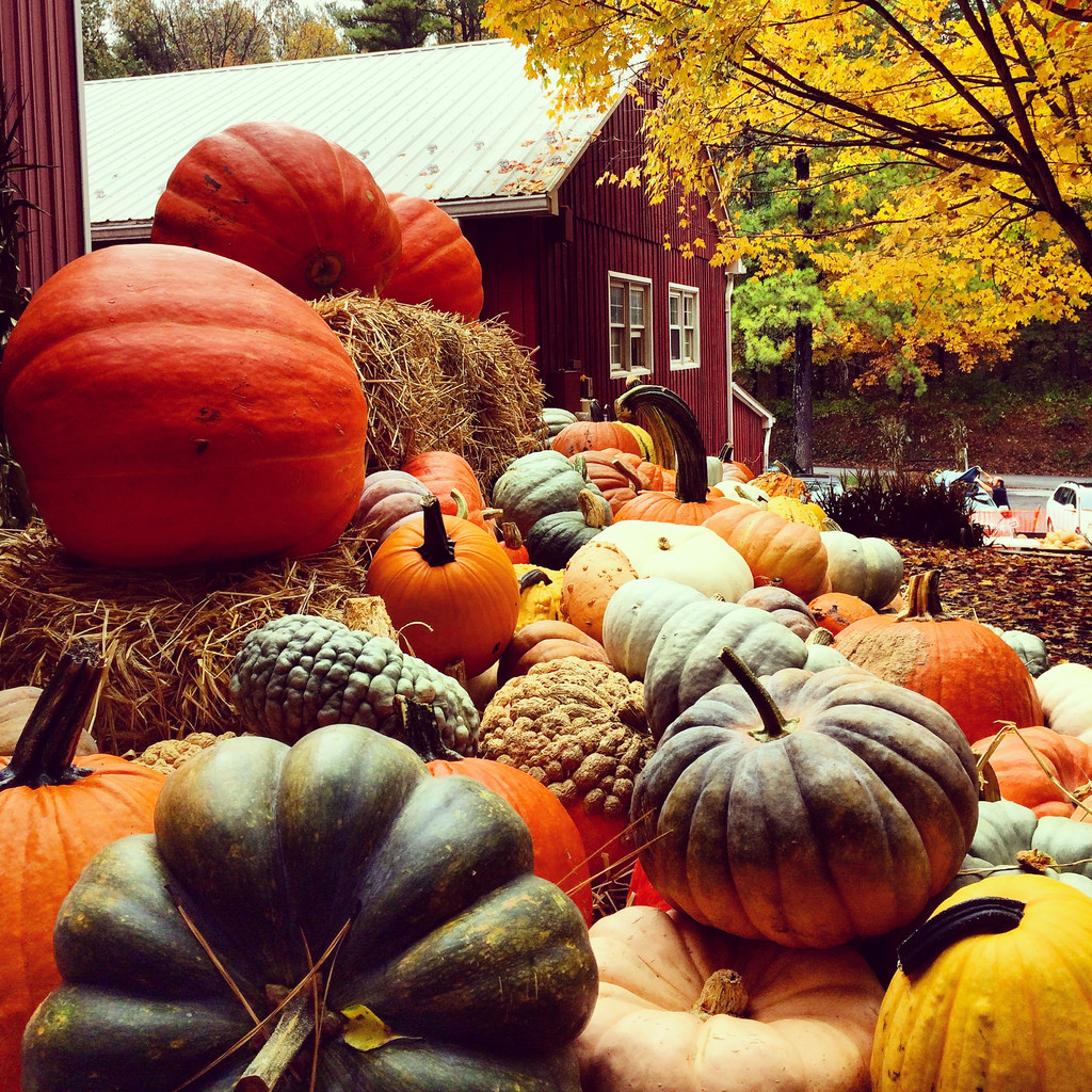 Butler's Orchard - LocalHarvest