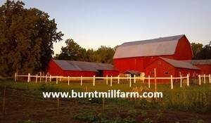 Burnt Mill Farm