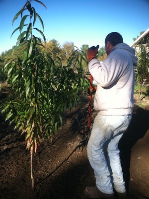 Winter Cove Farm