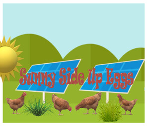 Sunny Side Up Eggs