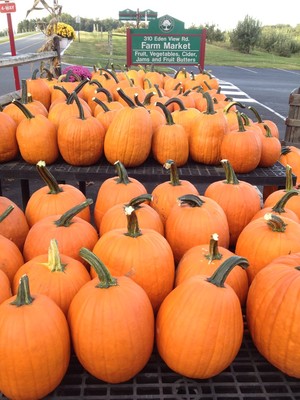 Masonic Village Farm Market