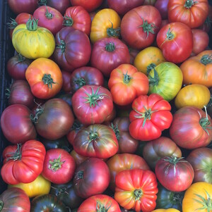 Oya Organics