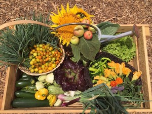 Huerta Del Valle Community Garden
