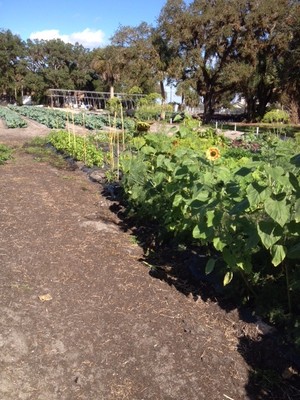 Bonnie Jeans Garden